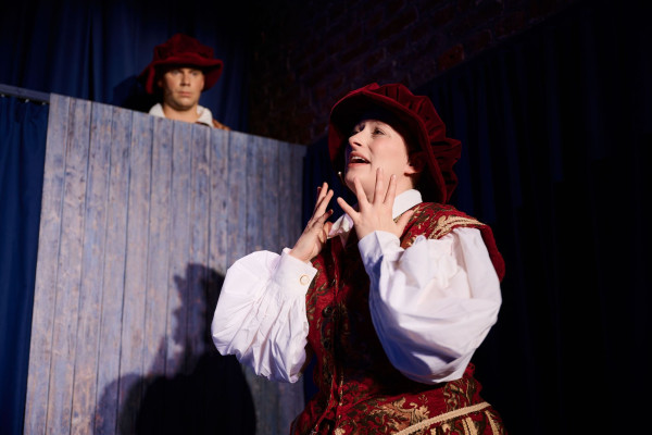 Plötzlich Shakespeare