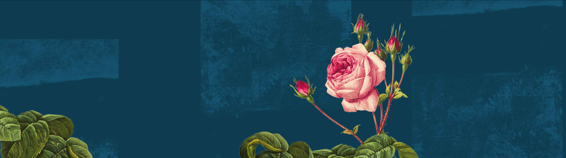 Romeo & Julia – <br>Musical